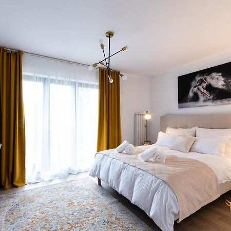 Quibio Apart Terrace Brassó Kültér fotó