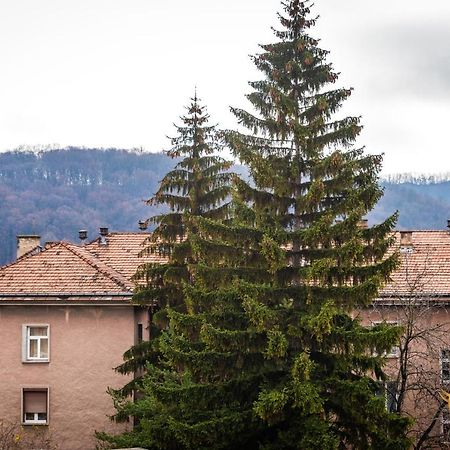 Quibio Apart Terrace Brassó Kültér fotó